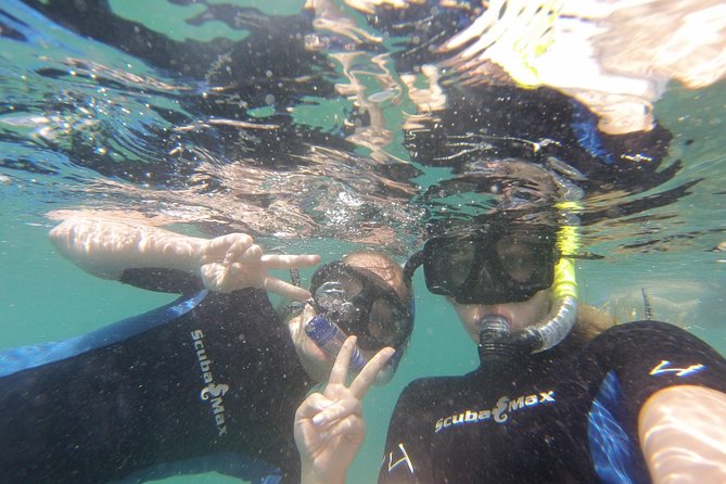 Pelican Rock Snorkeling and Sightseeing Adventure - Negative Feedback