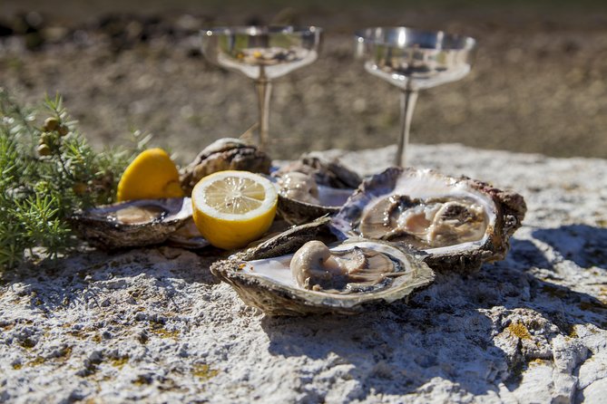 Peljesac Peninsula Wine Tasting Luxury Tour From Dubrovnik - Customer Reviews and Ratings