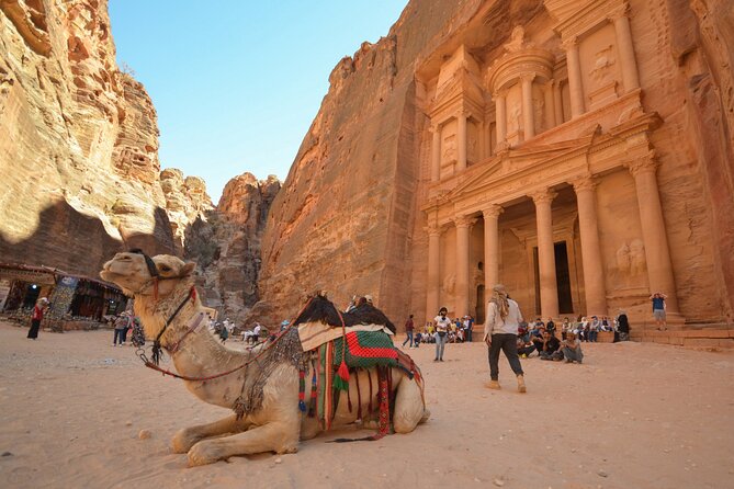 Petra & Dead Sea - One Day Private Tour - Experiencing the Dead Sea Resort