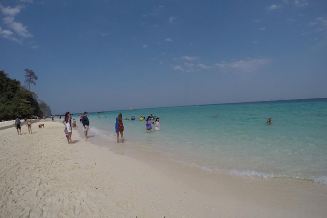 Phi Phi Islands Day Tour Bamboo and Maya Bay With Lunch by Speedboat - Cancellation Policy