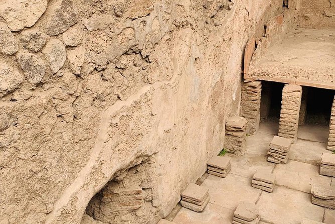 Pompeii & Vesuvius Tour Review - Organizer Background