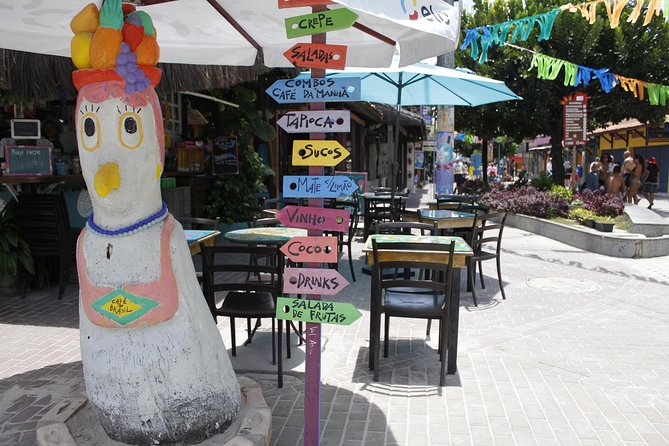 Porto De Galinhas Day Trip - Customer Feedback and Recommendations