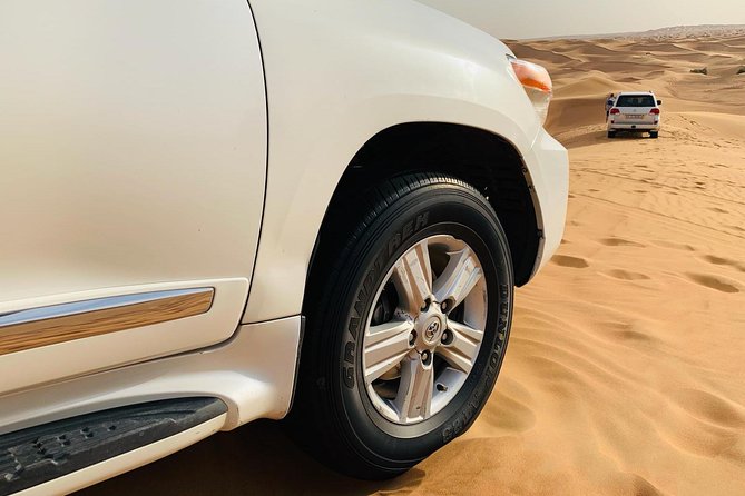 Premium Red Dunes Safari and Camel Safari With BBQ Dinner - Accessibility and Cancellation Policy
