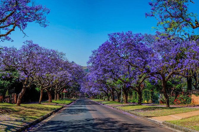 Pretoria City and Diamond Mine Tour - Traveler Requirements and Feedback