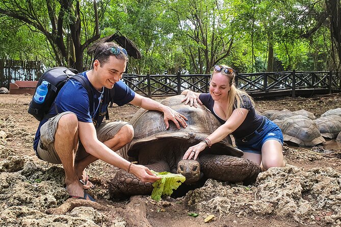 Prison Island & Nakupenda SandBank (Boat Trip) - Activities on Prison Island