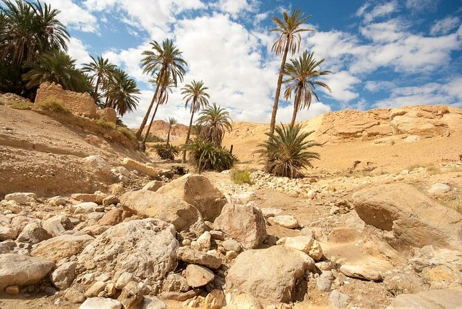 PRIVATE 2 Day SAFARI (Ksar Ghilane and Atlas Mountains) From Jerba - Booking and Availability