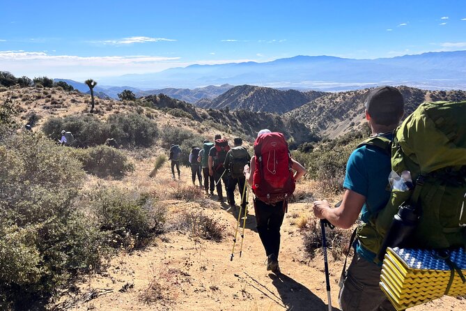 Private-36 Hour Adventure in Joshua Tree National Park - Pricing and Availability Details