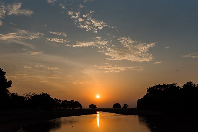 Private 4-Day Llanero Safari Tour in Enchantment - Bilingual Guides Insightful Expertise