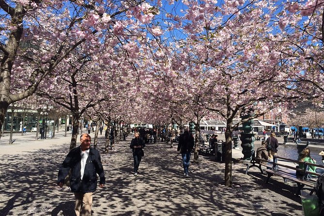 Private 4h VIP City Tour by Limousine Car and Guide in Stockholm - Highlights of the Tour