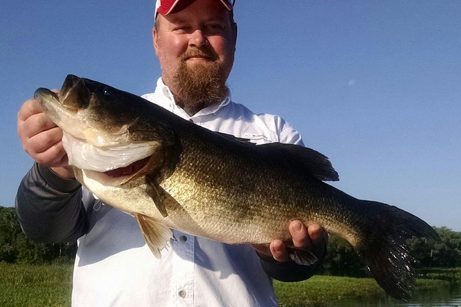 Private 8-hour Lake Toho Fishing Charter Near Kissimmee - Highlights of the Experience