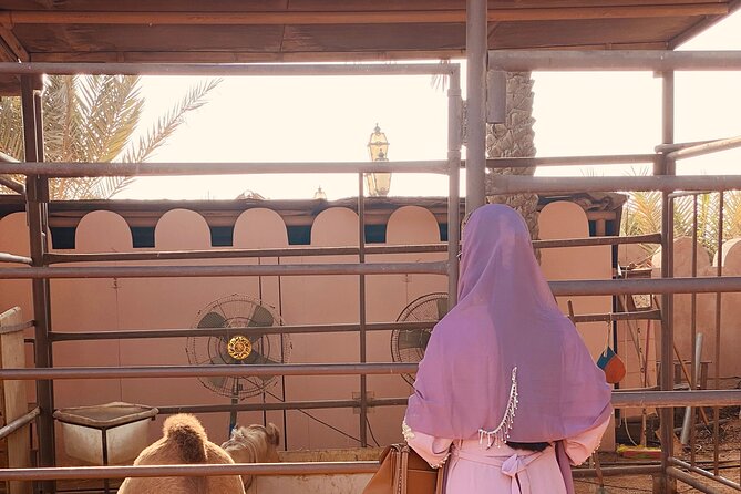 Private - Abu Dhabi Half Day City Tour - Pickup and Meeting Points