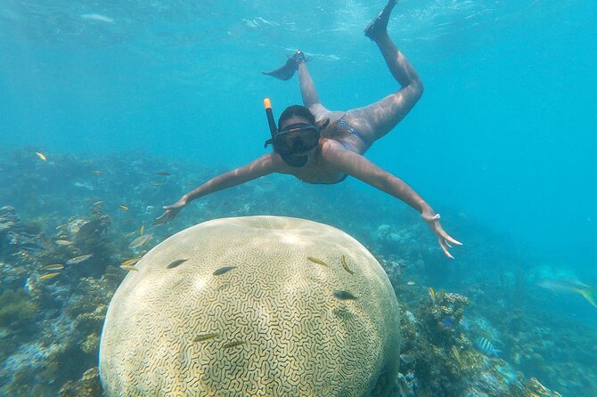 Private Boat, and Wonderful Snorkeling in Punta Cana - Private Transportation Provided