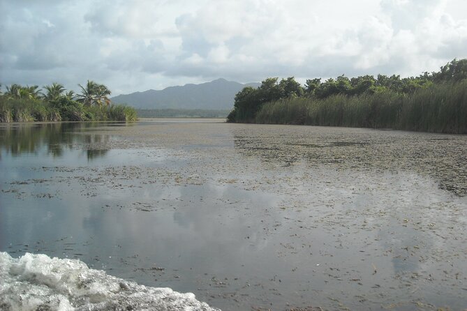 Private Boat Nature Tour of Limón Beach and Lagoon - Enjoying Dominican-Style Lunch