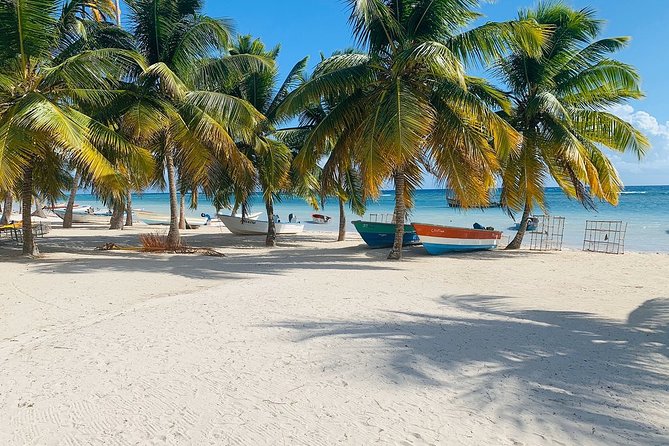 Private Boat Nature Tour of Saona Island - Mangrove Forest Discovery