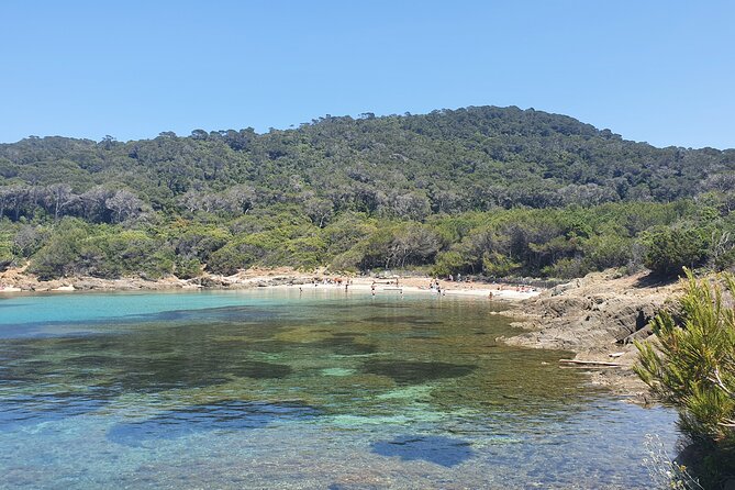 Private Boat Trip Around the Island of Port Cros. - Safety and Terms of Service
