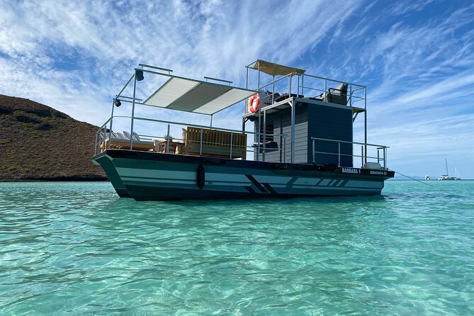 Private Cabo Catamaran Experience - Highlights of the Experience