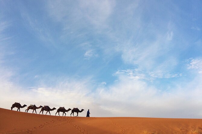 Private Camel Ride Over Erg Chebbi For Sunset Or Sunrise - Capturing Memorable Moments