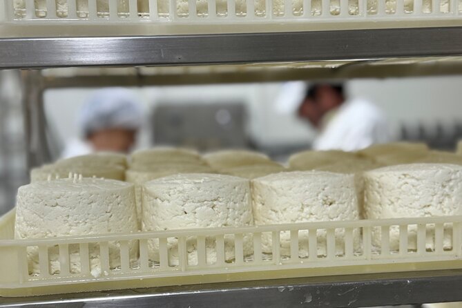 Private Cheese Factory Visit, Tile Painting and Wine Tasting Tour - Personal Stories and Highlights