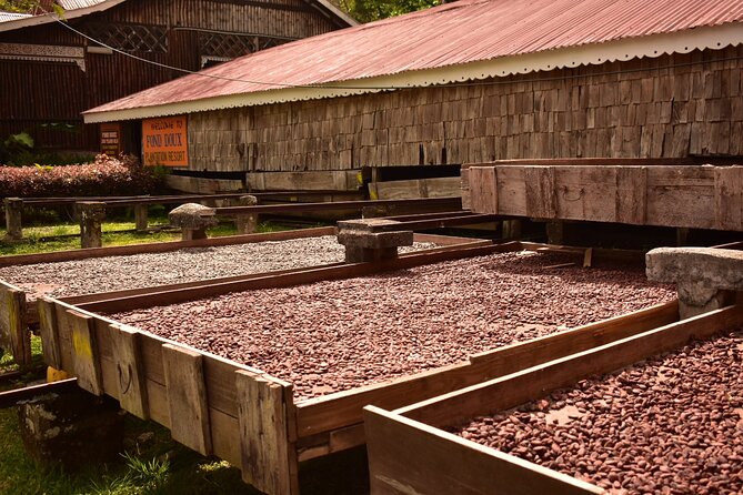 Private Chocolate Making Class - Inclusions, Accessibility, and Booking Options