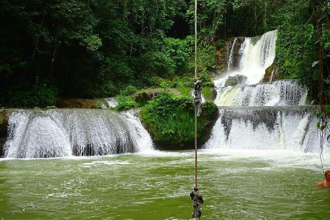Private Customizable Waterfalls, Crocodiles, Rum Tasting, or Pelican Bar Tour - Reviews