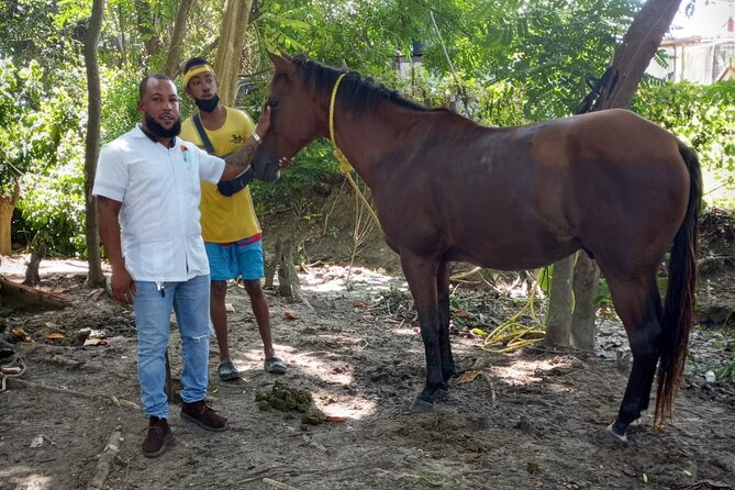 Private & Customize Tour to Martha Brae Rafting and Horseback Riding N Swim - Customizable Itinerary Options