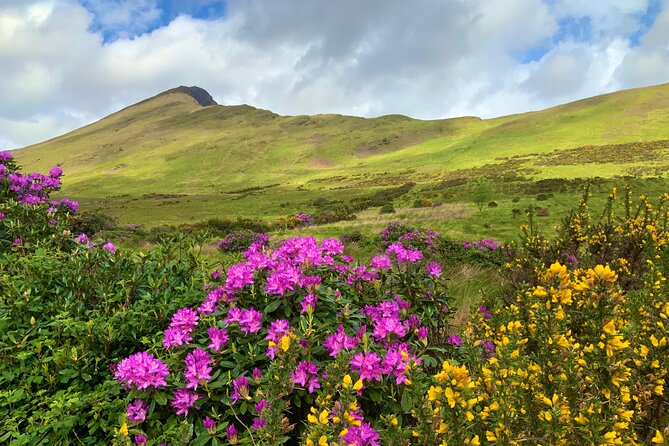 Private Day Tour From Galway to the Burren & the Cliffs of Moher - Cancellation Policies