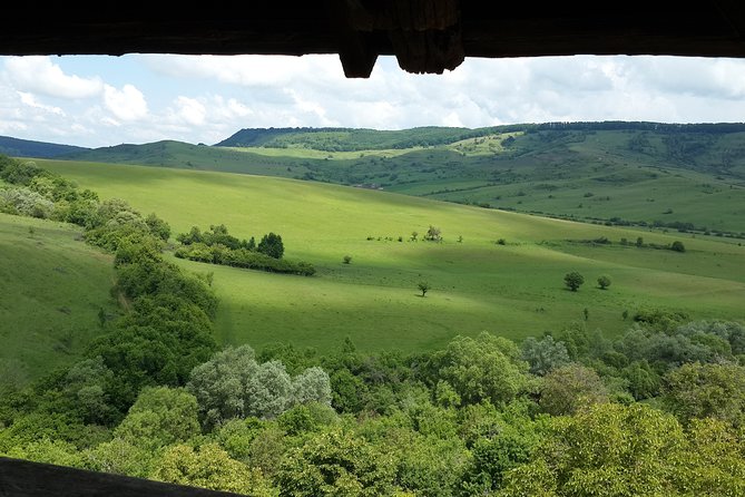 Private Day Tour Sighisoara and Viscri From Brasov With Hotel Pick Up/ Drop off - Visiting the UNESCO Site of Viscri