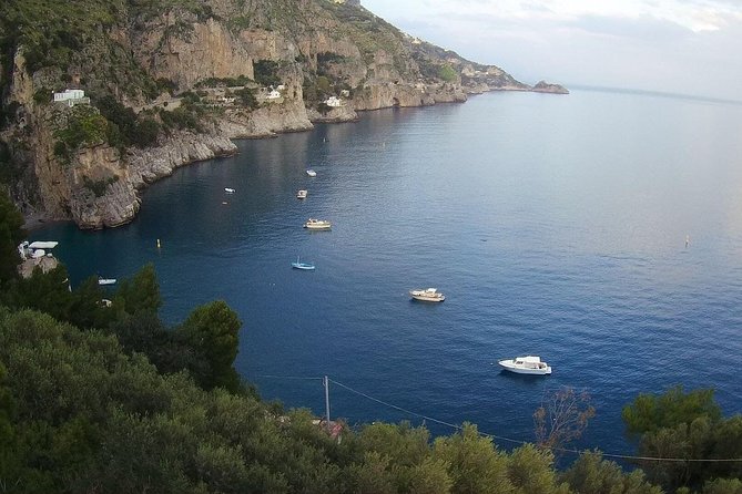 Private Day Trip From Rome to Amalfi Coast and Ruins of Pompeii on Your Own - Professional Guide for Pompeii