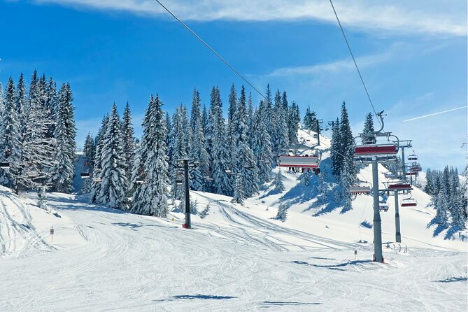 Private Day Trip From Zurich to Lucerne, Engelberg & Mount Titlis - Traveler Feedback and Responsiveness
