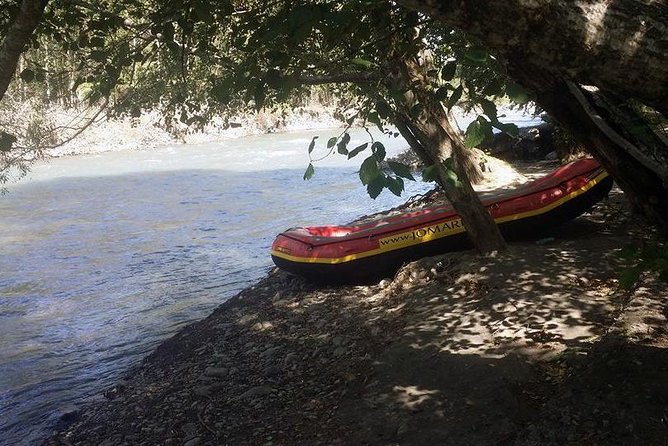 Private Day Trip: Rafting and Aragvi Adventure Center From Tbilisi - Traveler Reviews and Feedback