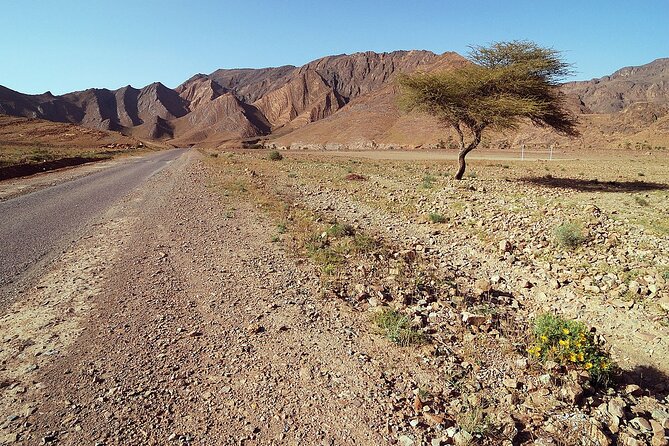 Private Desert Tour From Marrakech To Fes Via Desert Sahara - Cancellation and Pricing
