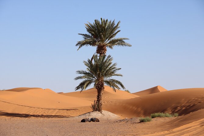 Private Desert Tour To Draa Valley And Zagora From Marrakech - Experiencing Zagora