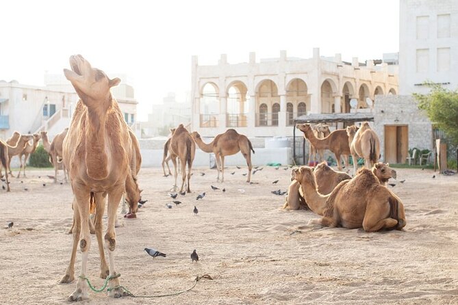 Private Doha Guided City Tour To All Main Attractions - Tour Confirmation and Cancellation