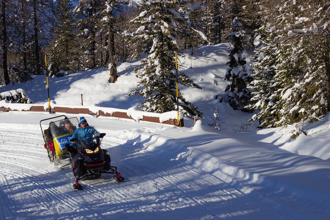 Private Dolomites Winter Day Tour From Venice - Accessibility and Requirements