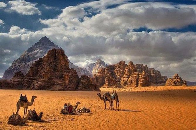 Private Full-Day Aqaba Shore Excursion to Petra and Wadi Rum - Testimonials From Satisfied Customers