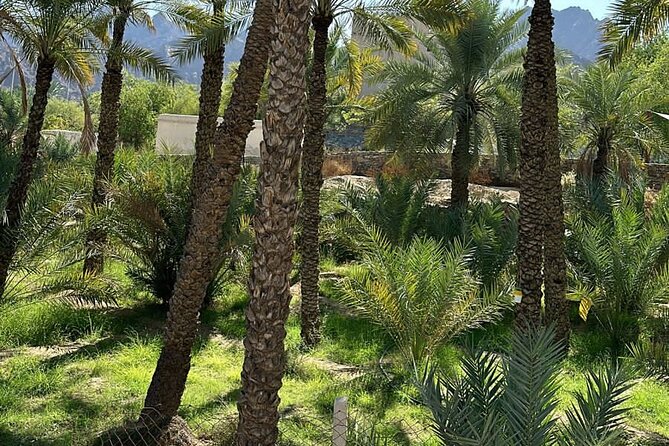 Private Full Day Hatta Visit Tour - Transportation and Accessibility
