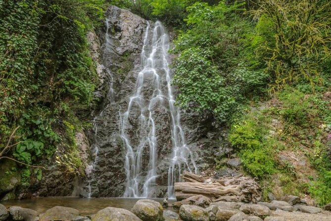 Private Full Day Tour From Batumi to Waterfalls - Waterfalls Exploration