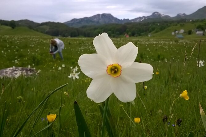 Private Full-Day Tour in Moraca and Tara Canyons, Durmitor & Biogradska Gora NP - Customer Reviews and Pricing