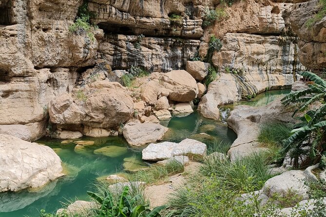 Private Full-Day Wadi Tiwi and Bimmah Sinkhole Tour From Muscat - Customer Reviews and Ratings