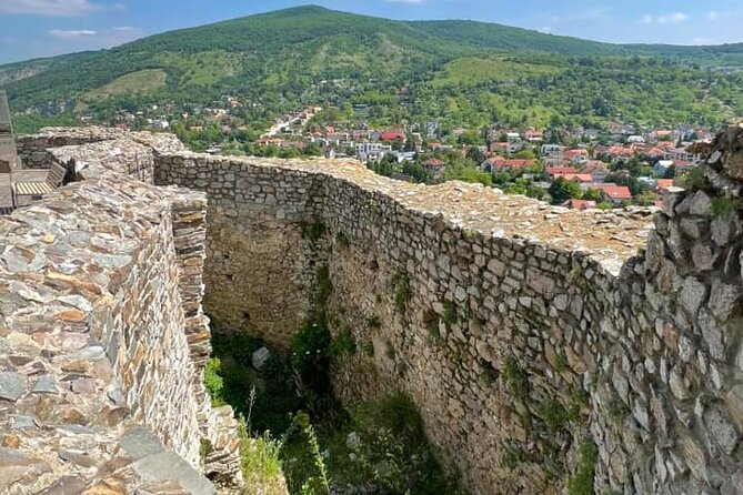Private Grand City Tour in Bratislava With Devin Castle - Customization Options