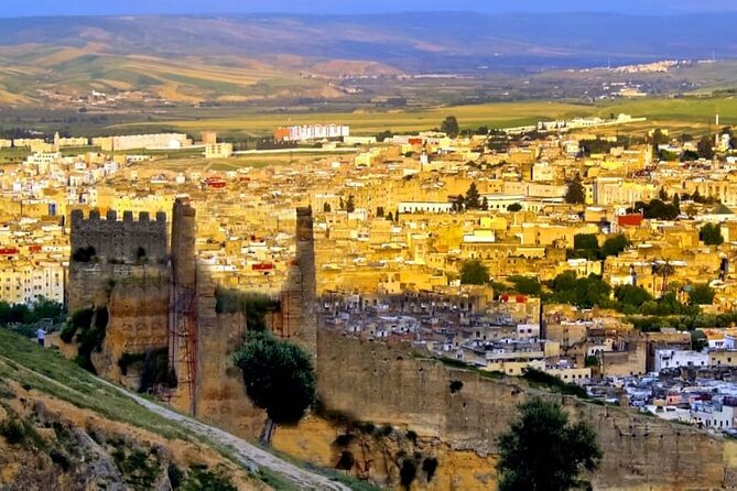 Private Guided Tour of the Medina of Fez and Its Surroundings - What to Expect During the Tour