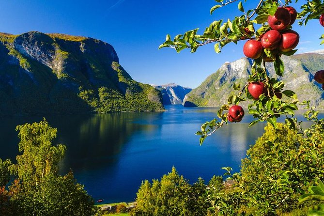 Private Guided Tour to Oslo - Nærøyfjord Cruise & Flåm Railway - Flexible Cancellation Policy and Reviews