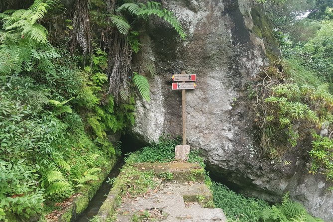 Private Guided Walk Levada Castelejo - Contact Support