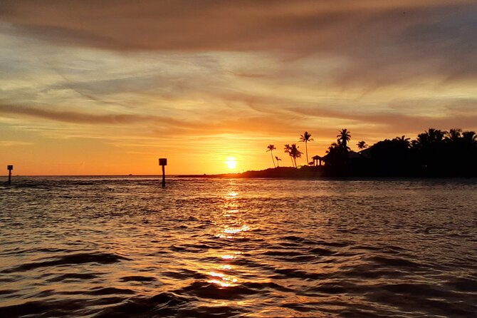 Private Half-Day Charter Tour in Naples, Florida - Pricing Information