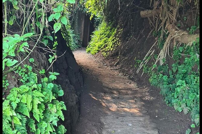 Private Half Day Hue to Vinh Moc Tunnels(Vietnam DMZ) - Customer Reviews