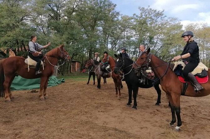 Private Horse Riding Near Budapest With Transport - Featured Traveler Photos