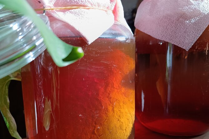 Private Kombucha Making Workshop in Cyprus - Feedback and Reviews