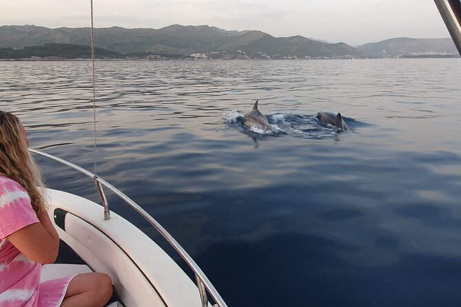 Private Local Guided Speedboat Tour in Dubrovnik Archipelago - Alcohol and Refreshments