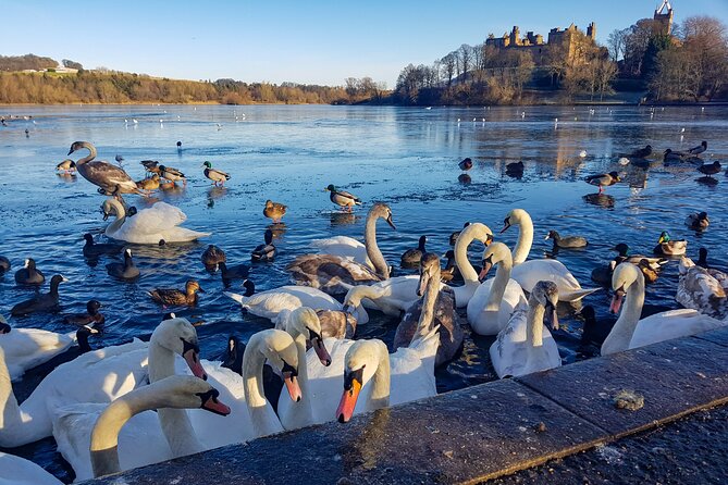 Private Luxury Tour of Loch Lomond, Oban, Glencoe & The Highlands - Inclusions and Accessibility