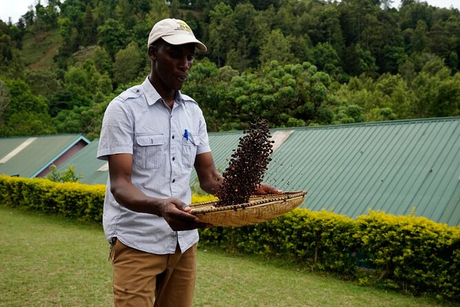 Private Meru Coffee Tour in Nkoaranga - Traveler Feedback and Recommendations